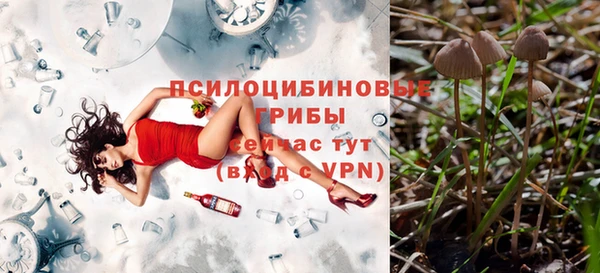 амфетамин Алексин