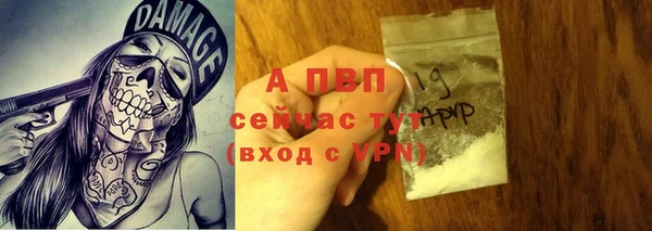 сатива Протвино