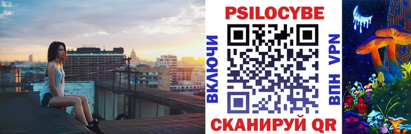 Псилоцибиновые грибы Psilocybe  купить наркотики цена  mega как войти  Краснознаменск 