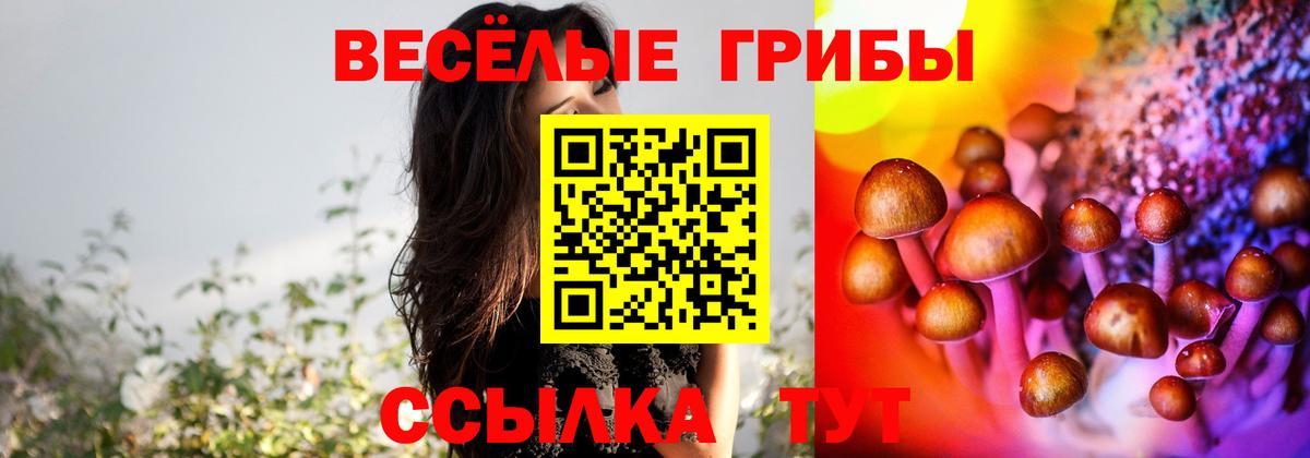 Галлюциногенные грибы мицелий  Вход с VPN  хочу   Краснознаменск  Галлюциногенные грибы мухоморы 
